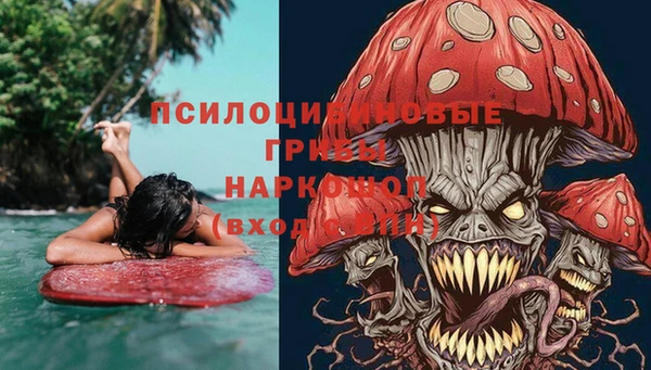 дмт Абаза